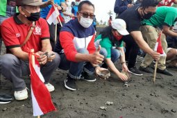 Sekdakab Gianyar pimpin pelepasliaran 10.000 tukik di Pantai Saba