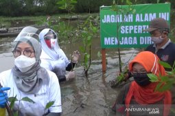 DLH Kalsel tanam mangrove di pesisir Anjir Muara Batola