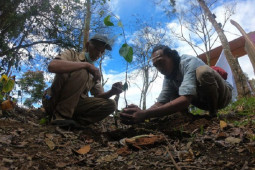 Menanam pohon dan pungut sampah hari konservasi
