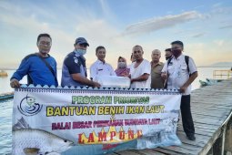 DKP Bangka Barat salurkan bantuan 5.000 benih kerapu