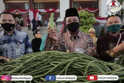 Lapsus : Bangkitkan kembali ekonomi Kalsel Paman Birin bantu UMKM Banua