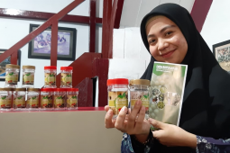 Upaya pemerintah memaksimalkan peran UMKM di masa pandemi COVID-19