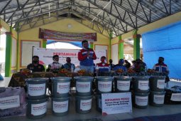 Pertamina bantu warga terdampak erupsi Gunung Sinabung