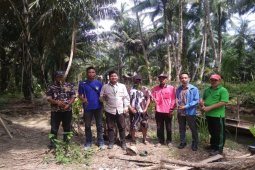 Semarak HUT Ke 75 RI, Pemuda dan Mahasiswa tanam ratusan mangrove di Langkat