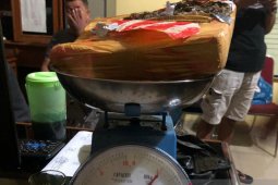 Pengendara lemparkan 1 kilogram ganja ke makam pahlawan, pemiliknya masih diburu
