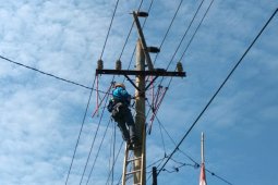 PLN gerak cepat pulihkan kelistrikan Bengkulu terdampak gempa