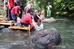 Pemkab Badung tebar 10 ribu benih nila untuk lestarikan alam