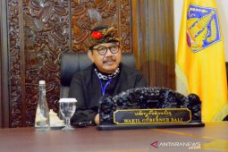 Wagub Bali: Pandemi COVID-19 bisa jadi peluang pengembangan seni