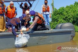 Tebar 10.000 bibit ikan ke sungai