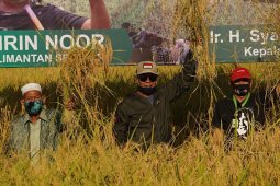Produksi padi Kalsel capai satu juta ton hingga Agustus
