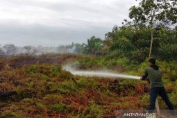 Enam hektare lahan gambut di Aceh Barat terbakar