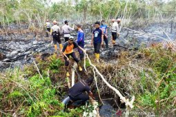 Efforts on to put out wildfires in West Aceh