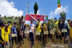 Kementan targetkan Indonesia bisa swasembada bawang putih pada 2024