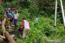 Warga desa di Malra bersihkan jaringan listrik