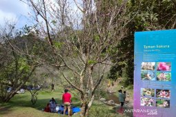 Kebun Raya Cibodas diusia 171 tahun telah koleksi 1.981 spesies tanaman