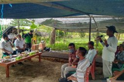 Pemkab Bangka Tengah dorong poktan kembangkan tanaman hortikultura