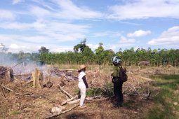 Two hotspots detected in Muara Uya, Tabalong