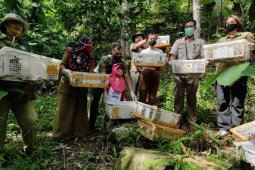 Penyelundupan 212 ekor burung ke Jateng kembali digagalkan