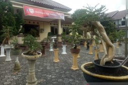 Pemkab Bangka Barat gelar pameran bonsai dorong pertumbuhan ekonomi kreatif