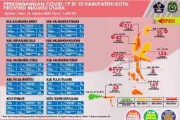 Pakar: Geografis Malut bisa hentikan kasus penularan COVID-19