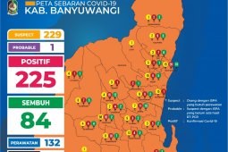 Banyuwangi tambah 12 kasus COVID-19, jumlah pasien jadi 225 orang