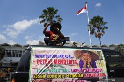 Unjuk Rasa Petani Jember