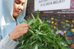 Kiat dan ikhtiar pemenuhan ketahanan pangan saat pandemi di perkotaan