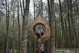 Wisata Kamojang Ecopark