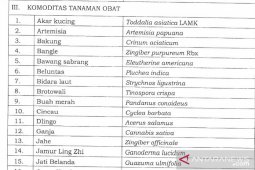 Kementan siap revisi penetapan ganja sebagai tanaman obat binaan