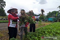 Bupati Belitung ajak petni wujudkan kemandirian pangan