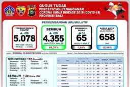 4.355 pasien COVID-19 di Bali sudah sembuh