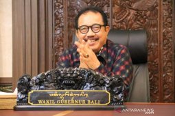 Cok Ace: gunakan pandemi COVID-19 untuk cari solusi keberlangsungan budaya Bali