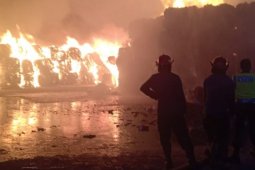 Gudang penyimpanan karton Tjiwi Kimia terbakar