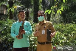 Disbun Kaltim nilai kabupaten/kota terkait pengembangan perkebunan daerah