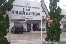 Humbahas belum mampu penuhi komsumsi ikan air tawar, ini upaya dinas perikanan