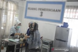 Vaksin rabies gratis bagi hewan peliharaan