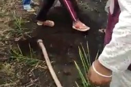 Bayi baru lahir dikubur hidup-hidup di Aceh Tengah, pelaku diduga ibu kandungnya