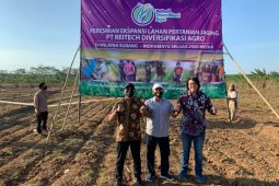 Reitech Diversifikasi Agro ekspansi lahan jagung 2.500 hektare di Subang