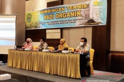 DPTPH Provinsi Kaltim latih Gapoktan budi daya padi organik