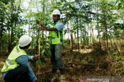 PT Mifa Bersaudara konservasi "Seumantok" di area lahan bekas tambang