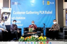 Rayakan HPN, GM PLN Babel sapa pelanggan via webinar