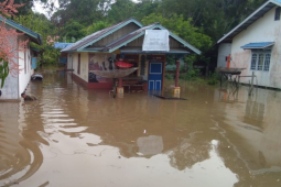 Puluhan rumah di Silat Hilir terendam banjir