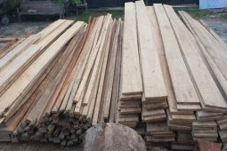 Polres Aceh Timur tangkap lima pelaku ilegal logging