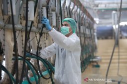 Masalah pencernaan kerap luput dari  perhatian saat pandemi