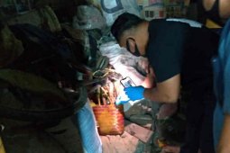 Polisi Indramayu amankan pria yang diduga kuburkan jasad istrinya di bawah ranjang