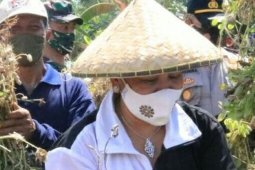 Ketua PKK Bali ajak kembali ke alam di tengah pandemi COVID-19