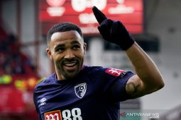 Newcastle United resmi gaet Callum  Wilson dari Bournemouth