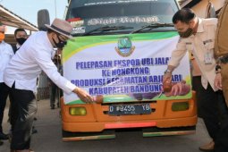 30 ton ubi jalar Bandung diekspor ke Hong Kong