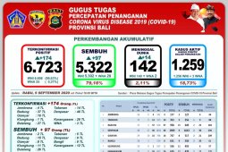 Bali laporkan 14 pasien COVID-19 meninggal