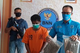 2020, BNNK Badung rehabilitasi 29 pengguna narkotika